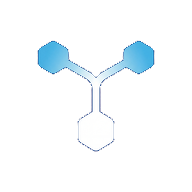 Rhysora